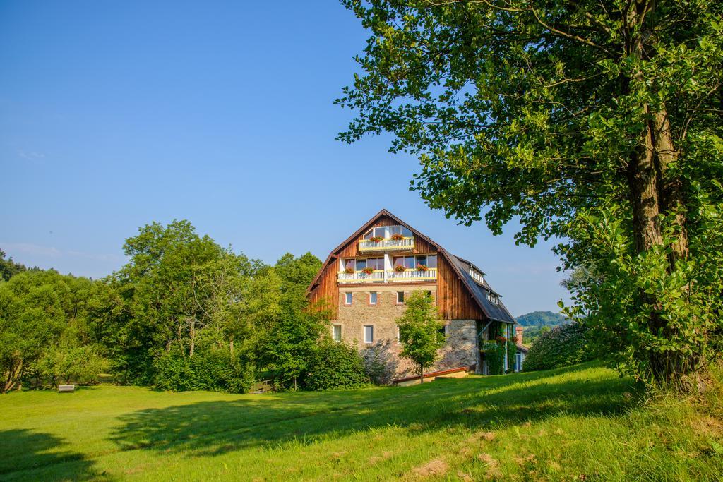 Hotel Frankenschleif Waldmünchen Εξωτερικό φωτογραφία